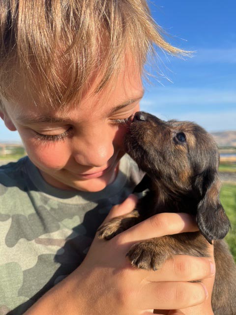 Poppy and Ollie litter