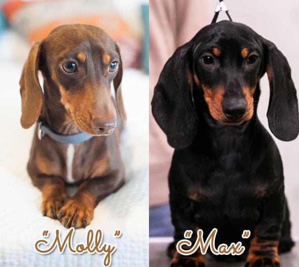 Molly x Max