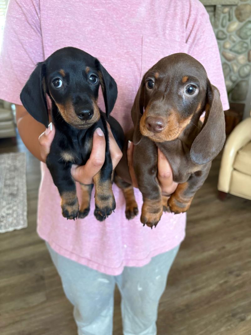 Ruby x Max